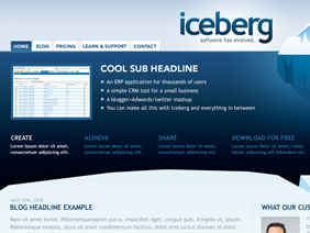 Iceberg